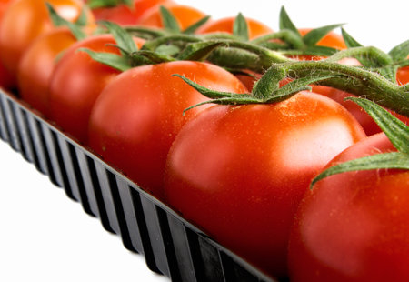 Cherry tomatoes with a stalk in a plastikoyy box. Group of the isolated subjects on a white background. Transportation of products. Image fragment close up. Small depth of sharpness. Horizontal format. Indoors. Color.の写真素材