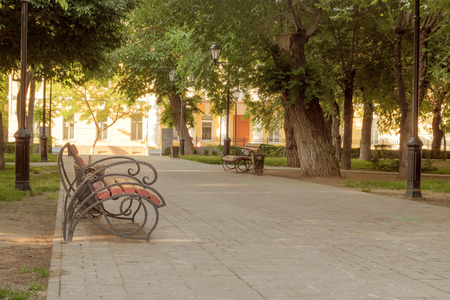 Bench in park in the summer morning. The bench is located in the foreground. Side view. On the average plan trees and lamps. The path of park which is laid out by a tile. Out of the room. Horizontal format. Small depth of sharpness. Color. Photo.の写真素材