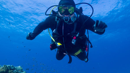 Diver captures underwater world on camera