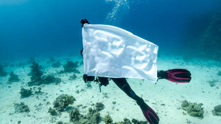 Diver captures underwater world on cameraの写真素材