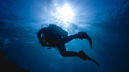Diver captures underwater world on cameraの写真素材