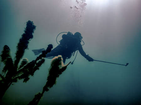 Diver captures underwater world on cameraの写真素材