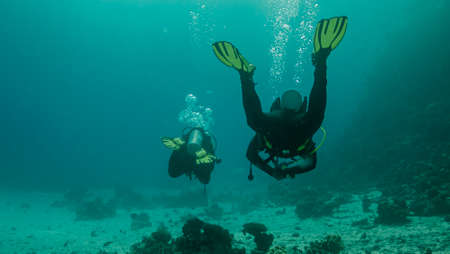 Diver captures underwater world on cameraの写真素材