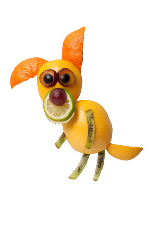 Funny dog made of orange and kiwi on isolated backgroundの写真素材