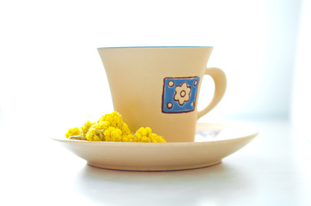 cup of tea on a saucer with dried medicinal flowers Helichrysumの写真素材