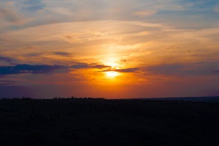 Beautiful bright sunset with dark silhouettes of treesの写真素材