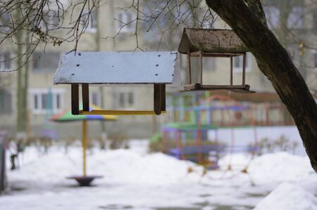 Bird feeders on the playgroundの写真素材