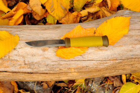 Metal hunting knife on a log and yellow autumn leavesの写真素材