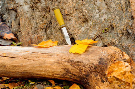 Metal hunting knife on a log and yellow autumn leaves near a granite stoneの写真素材