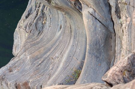 The background of an interesting layered river water stoneの写真素材