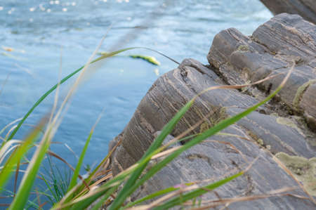 water turning stones on a background of a blue river and a green reed in the foregroundの写真素材