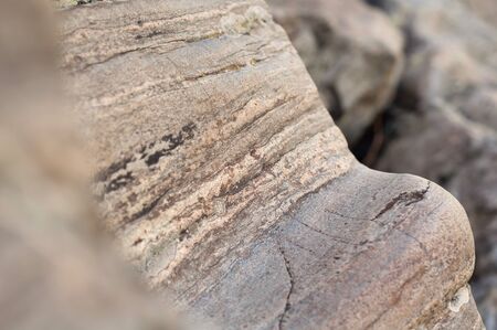 The background of an interesting layered river water stoneの写真素材