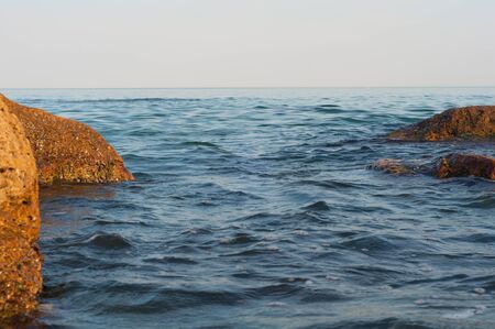 shore with shellfish on sky backgroundの写真素材