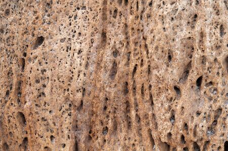 background natural not processed yellow stone shellの写真素材