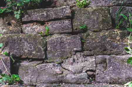 background from the Old darkened wall with granite gray roughly processed rectangular stones close-up with a sprouted green grass between the stonesの写真素材