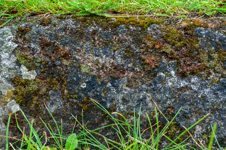 background of hewn granite stone covered with moss grass and lichenの写真素材