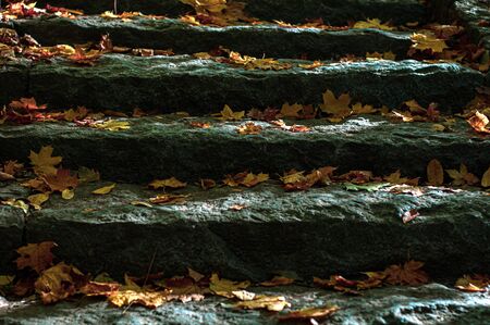 Granite steps close up. Horizontal background. Fallen yellow-orange autumn leaves on dark gray granite. Outdoors.の写真素材