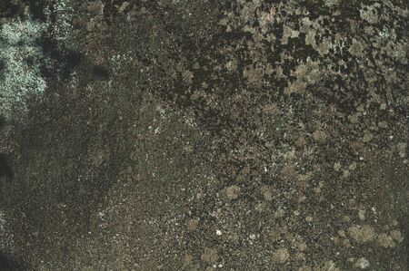 Granite stone close-up outdoors. Texture material. Raw granite with moss and lichen. Horizontal background for advertising banner.の写真素材