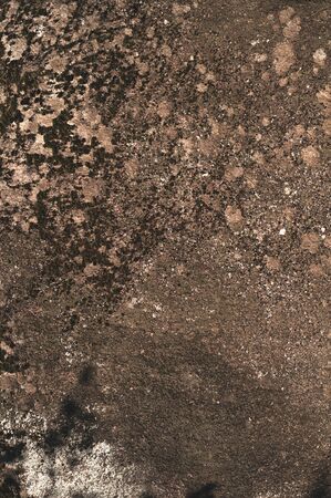 Unprocessed granite stone with moss and lichens. Close-up. Outdoors. Vertical background for advertising banner.の写真素材