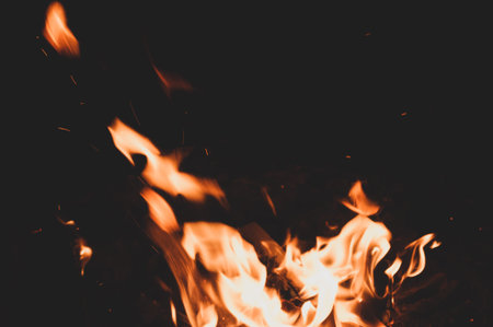 Bright multi-colored sparkling flaming warming fire. Burning fire on a black background close-up....