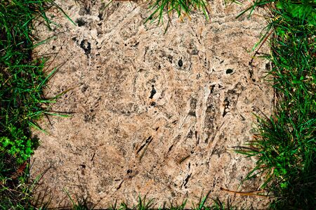 Old concrete tile covered with grass close upの写真素材