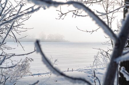 Through branches of trees snowy field is visible. Winter landscape. Foggy frosty beautiful morning. Branches of trees and bushes in hoarfrost and snow. Close-up. Horizontal photo.の写真素材