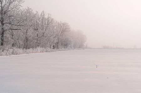 Misty frosty forest landscape near countryside. White clean snow flakes on fields and branches of trees. Beautiful cold cloudy day in winter. White texture. Horizontal photo. Outdoors.の写真素材