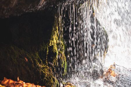 Stones overgrown with green moss near stream water. Water flowing over stones. Water splashes flying in different directions. Fallen autumn yellow leaves lying on wet dark gray granite stones.の写真素材