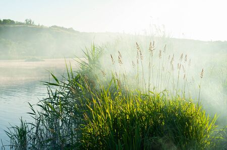 Misty morning over beautiful river in early summer. Pacification and admiration of contemplation of foggy morning on river. Remote place of urban fuss for relaxation. Horizontal photo. Outdoors.の写真素材