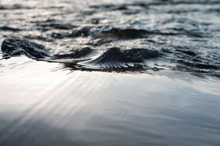 Blurred water surface, beautiful abstract background, reflected sky. Outdoors. Horizontal photographyの写真素材