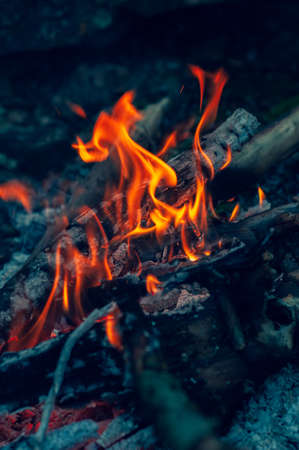 Small flame dying fire, bright red-orange flame. Cozy warm atmosphere by outdoors campfire recreation, burning wood.の写真素材