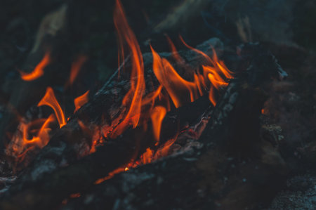 Arson or natural disaster. Burning tree branches. Remains from fire, hot red-orange coals from burnt wood. Beautiful close-up background, selective focusの写真素材