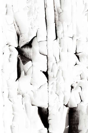 Texture applied tile adhesive on wall, ribbed concrete background close-up, building materialの写真素材