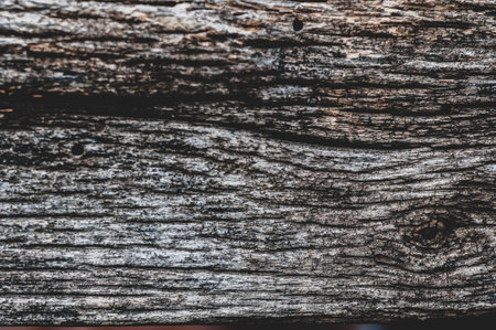 Small decorative stone, crumb for landscape design, beautiful background for stories on social networks. Vintage background close-upの写真素材