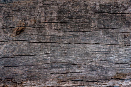 Vintage wood background close-up. Very old cracked wood plank, rough textured surface.の写真素材