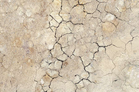 Background cracked, dry white clay, natural material, atmospheric impact, outdoors,の写真素材