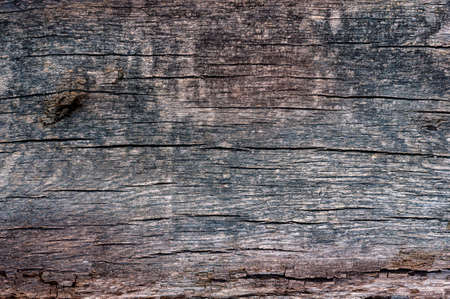 Very old cracked wood plank, vintage wood background close-up, rough textured surface.の写真素材