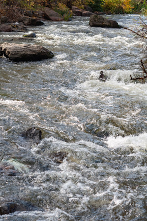 Rocky fast river. Running water, flowing with rapids, horizontal photo.の写真素材