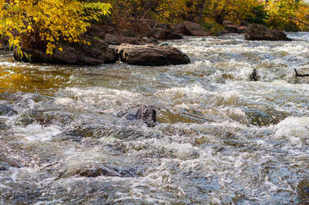 Rocky fast river. Running water, flowing with rapids, horizontal photo.の写真素材