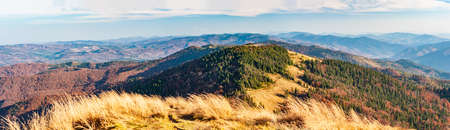 Panorama View from high mountain on picturesque landscape autumn Carpathian. Dramatic sky. Ukraine, Europe. Colorful nature, green coniferous forest. Majestic sunset in mountains landscape.の写真素材