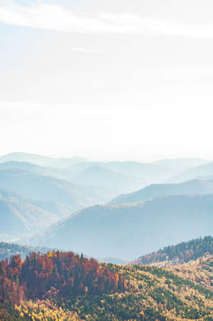 Nature Carpathians, Ukraine mountain wilderness landscape, panorama hills mountain range covered with forest, warm autumn day.の写真素材