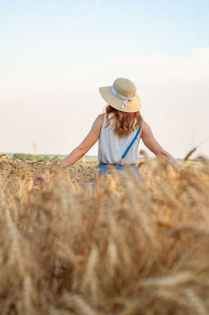 Woman with hat in summer field golden wheat, beautiful happy girl enjoying life, field with ripe spikelets. Outdoor lifestyle.の写真素材