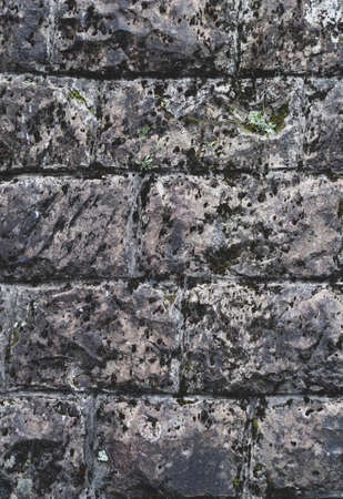 background from old dry cracked wood closeupの写真素材