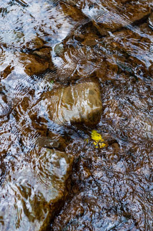 rocky bank a mountain river overgrown with moss bushes and trees, fast muddy stream water, nature outdoorsの写真素材