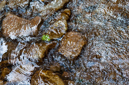 rocky bank a mountain river overgrown with moss bushes and trees, fast muddy stream water, nature outdoorsの写真素材