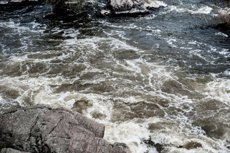 rocky bank a mountain river overgrown with moss bushes and trees, fast muddy stream water, nature outdoorsの写真素材