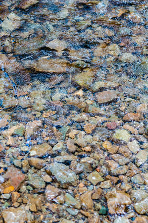 Wooden texture with chopped pieces tree, rough wood surface, textured background close upの写真素材