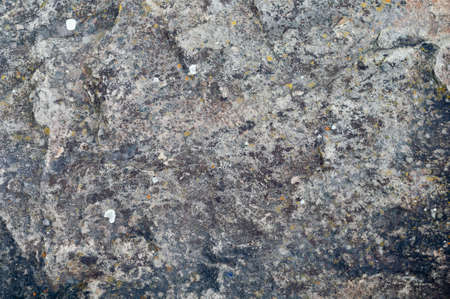 Wooden texture with chopped pieces tree, rough wood surface, textured background close upの写真素材