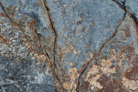 Wooden texture with chopped pieces tree, rough wood surface, textured background close upの写真素材