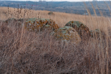 A metal high-voltage pole against a blue sky among a forest near a riverの写真素材